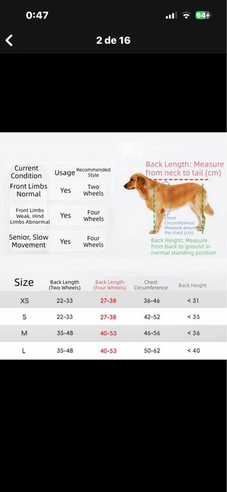 Silla de ruedas para perro mediano / 4 ruedas