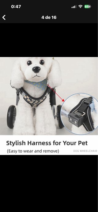 Silla de ruedas para perro mediano / 4 ruedas