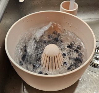 Lavador de frutas automático