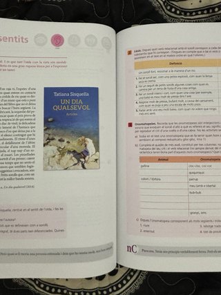 Sentits. Llengua catalana 2 Batxillerat