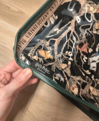 Bolso Tote Pequeño Harry Potter Negro y Verde
