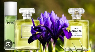 - Eau de Toilette Chanel N°19 ORIGINAL . OFERTA .!