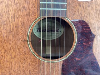 guitarra acustica richwood a50-ce