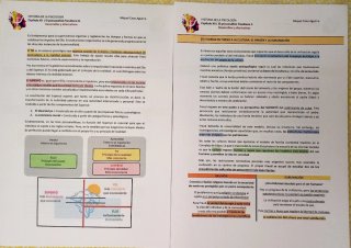 Historia Psicología UNED