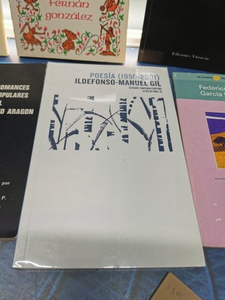 Lote, 8 novelas, Poesía y mas...