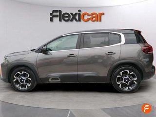Citroën C5 Aircross BlueHdi 96kW (130CV) S&S EAT8 Max - 5P (2024)