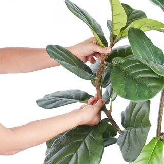 Árbol Fiddle Leaf Fig Artificial, 5 FT, Material PE Seguro y Protección Antivuelco de Baja Mantenimiento, Planta Falsa Realista Verde en Maceta para Decoración de Hogar, Oficina, Almacén, Interior...
