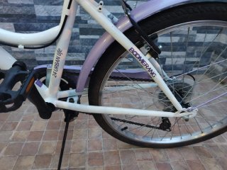 Bicicleta Boomerang 24" Urbana