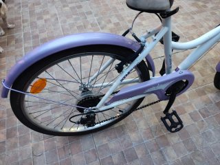 Bicicleta Boomerang 24" Urbana