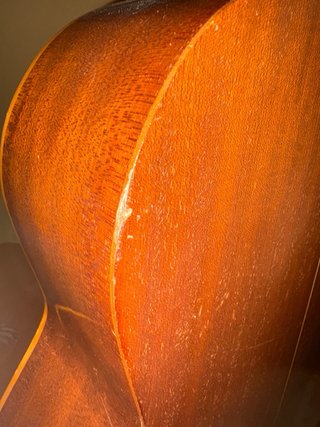 Guitarra Clásica Española Dis-Com Gata
