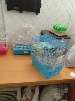 Jaulas para mascotas (varios colores)