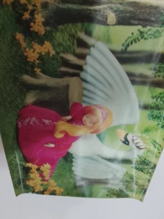 Cartolina rara illustrata