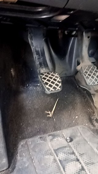 PEDAL EMBRAGUE Seat Altea (5P1) (2004->2011)