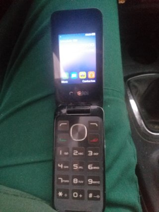 Teléfono Móvil Alcatel Dorado/Plateado