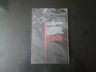 Spiderman las historias jamás contadas 2