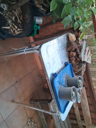 Mesa metálica plegable
