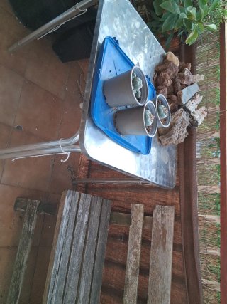 Mesa metálica plegable
