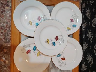 6 Platos Llanos Porcelana Flores Multicolor
