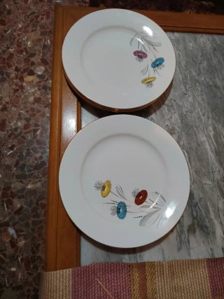 6 Platos Llanos Porcelana Flores Multicolor
