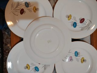 6 Platos Llanos Porcelana Flores Multicolor