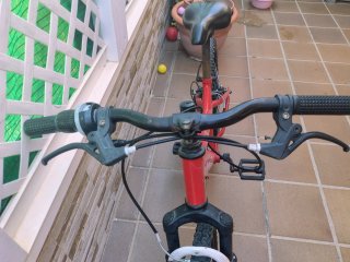 Bicicleta infantil roja
