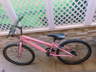 Bicicleta niña rosa 24