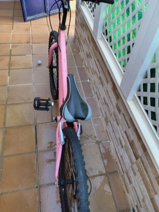 Bicicleta niña rosa 24