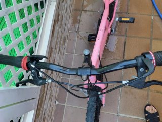Bicicleta niña rosa 24