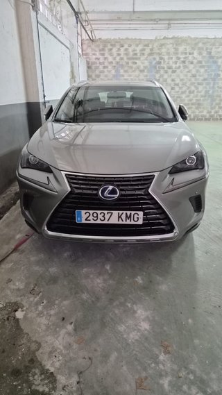 Lexus NX 2019