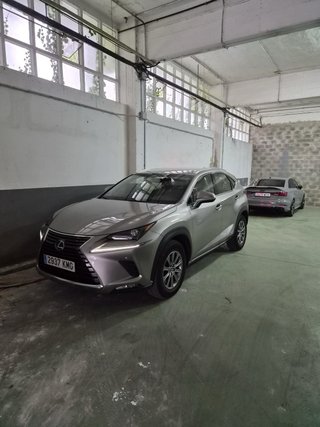 Lexus NX 2019