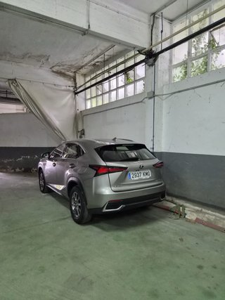 Lexus NX 2019