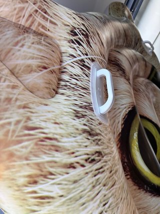 Hinchable cabeza de gato