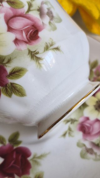 Taza y platillo de porcelana inglesa