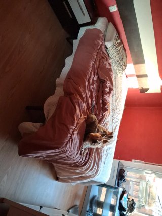 Cama individual con cabecero