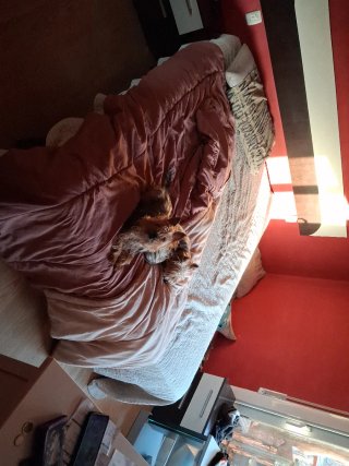 Cama individual con cabecero