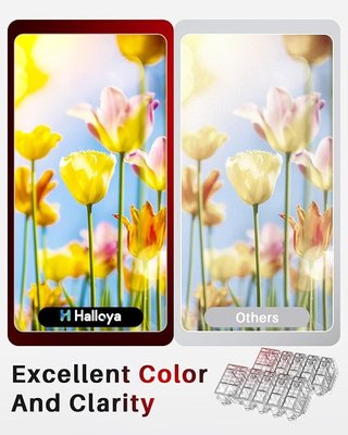 Halloya Cartuchos 202XL Epson XP-6100 Pack 10