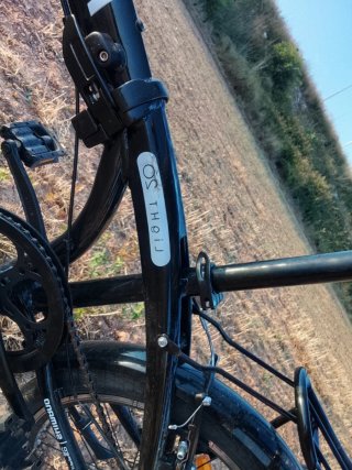 Bicicleta plegable negra