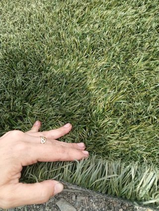 Erba artificiale