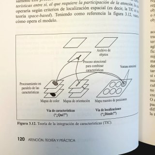 Libro "Atención. Teoría y práctica"