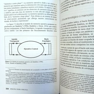 Libro "Atención. Teoría y práctica"