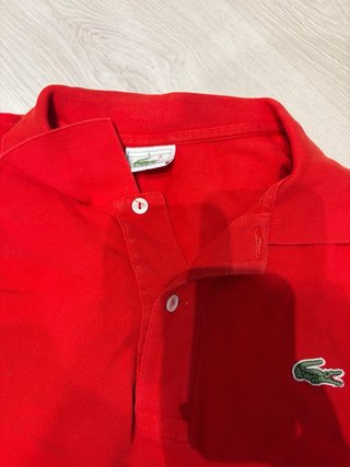 Lote 5 polos Lacoste y Polo Ralph Lauren