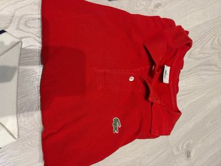 Lote 5 polos Lacoste y Polo Ralph Lauren