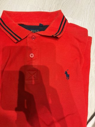 Lote 5 polos Lacoste y Polo Ralph Lauren
