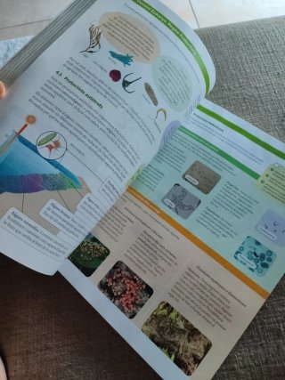 BIOLOGIA 1 BTX CONSTRUINT MONS