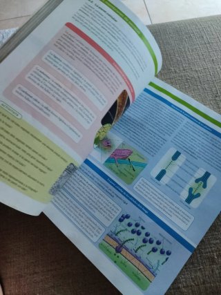 BIOLOGIA 1 BTX CONSTRUINT MONS