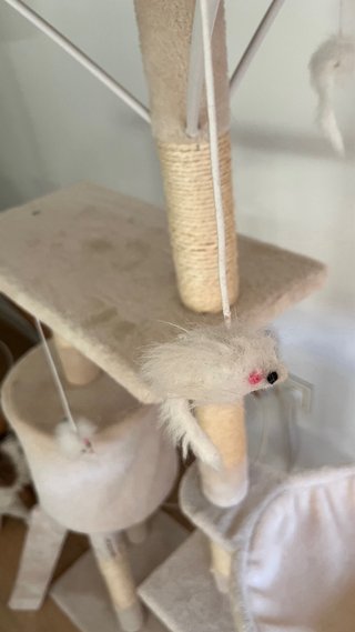 Rascador para gatos alto