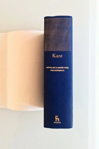Critica de la razón pura, Prolegomenos, Kant