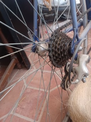 Bicicleta Carretera Orbea Sierra Nevada bitono.