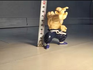 Figura Maestro Roshi