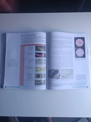 Libro de texto